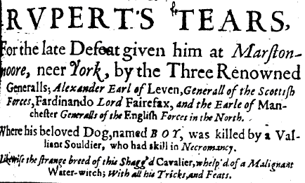 Some original Fake News, in which a beloved dog named Boy is killed by a Necromancer