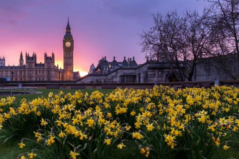 Photo by Ming Jun Tan on Unsplash