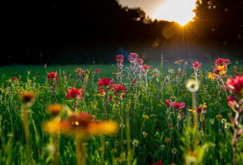 Photo by Preston Browning on Unsplash