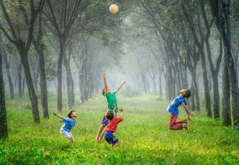 Photo by Robert on Unsplash