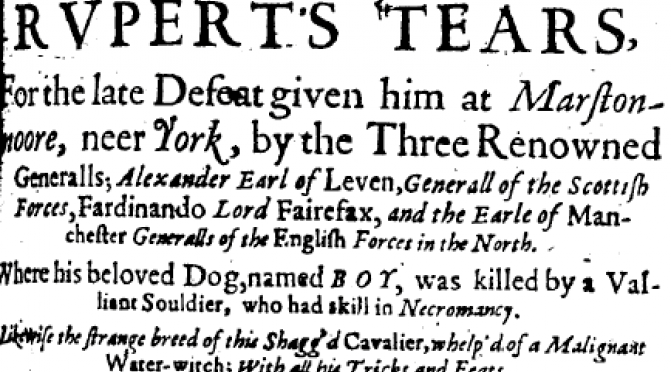 Some original Fake News, in which a beloved dog named Boy is killed by a Necromancer