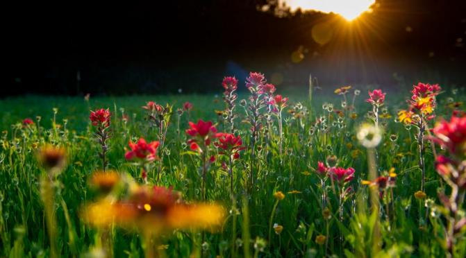 Photo by Preston Browning on Unsplash
